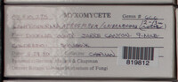 Image Associated With the Occurence